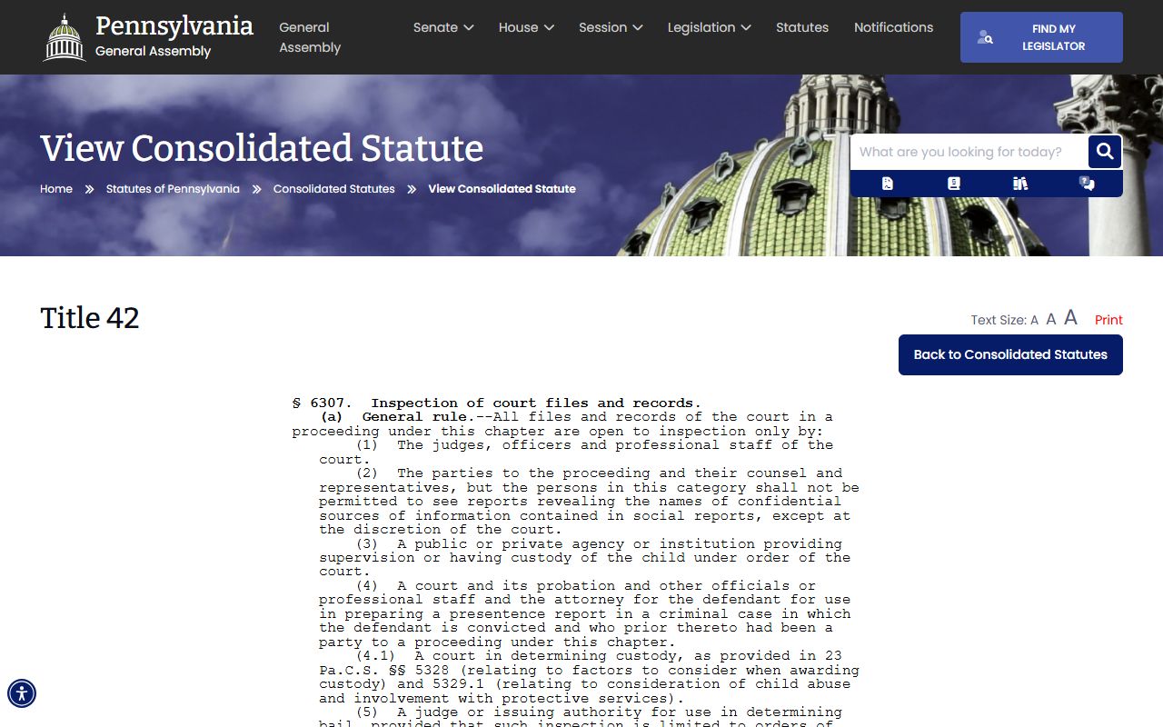 Berks County court dockets juvenile court file access statute